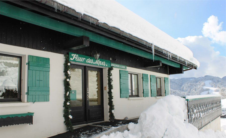 Facade chalet fleur des alpes